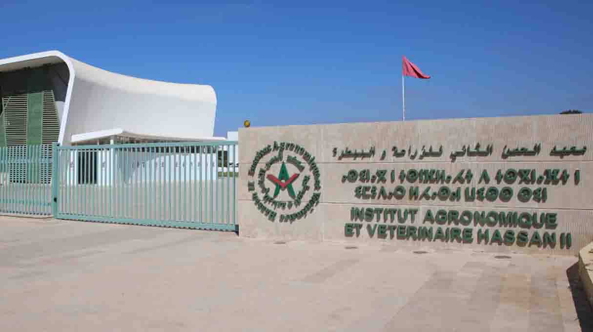 معهد الحسن الثاني للزراعة والبيطرة
