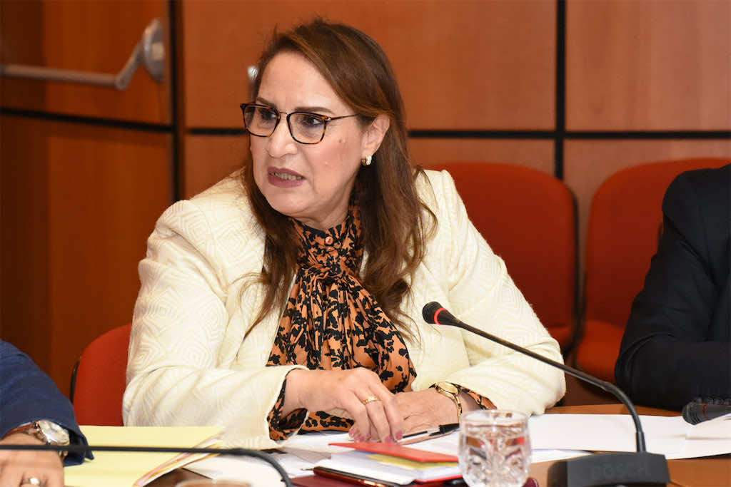 رئيسة لجنة القطاعات الاجتماعية