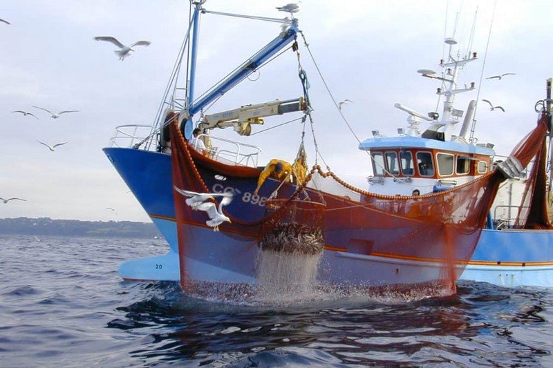 peche-800