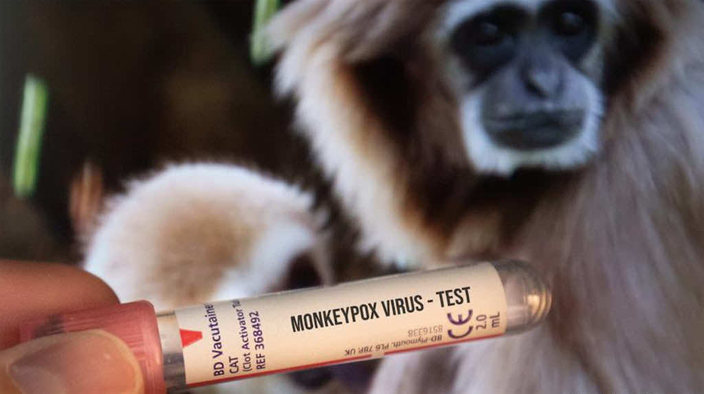monkey virus