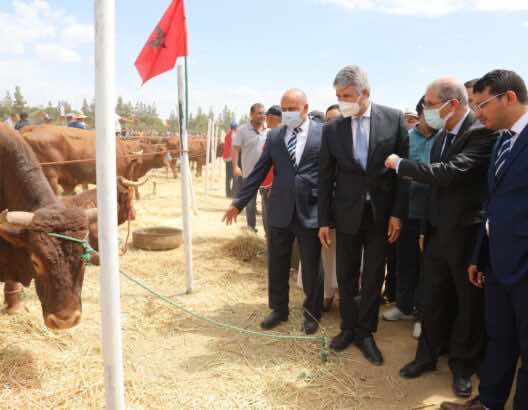 وزير الفلاحة