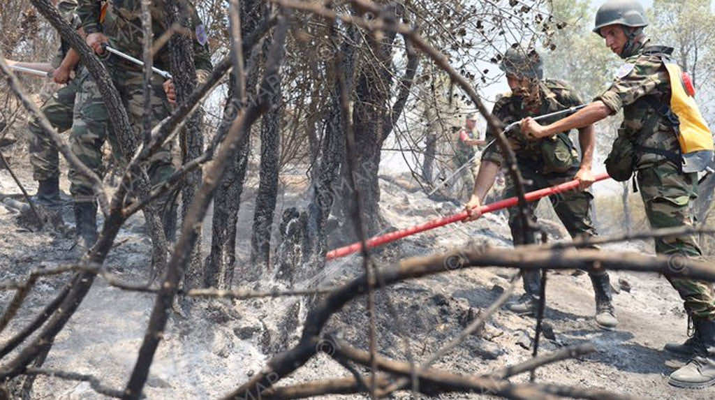 حرائق الشمال