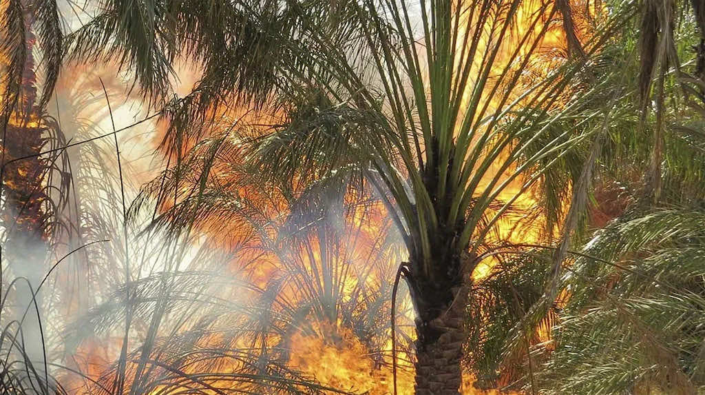 حرائق مهولة