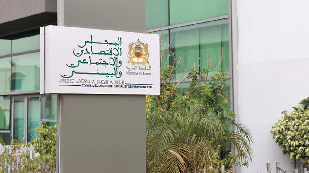 المجلس الاقتصادي الاجتماعي والبيئي