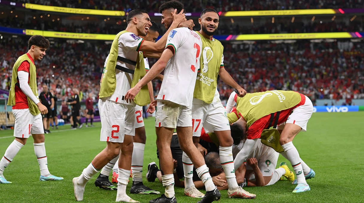 أسود الأطلس
