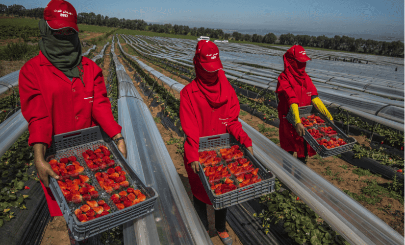 عاملة مغربية