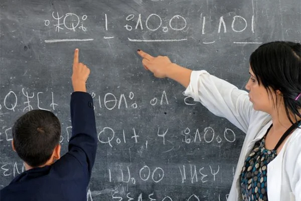 تدريس الأمازيغية