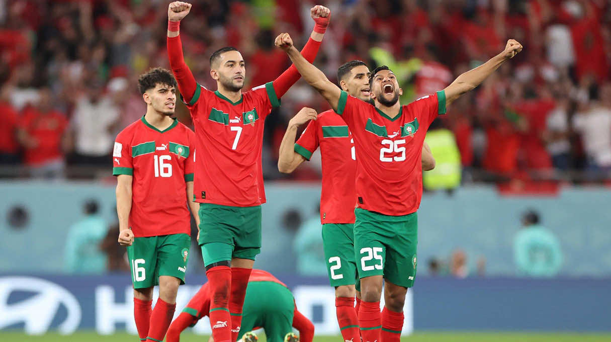 أسود الأطلس