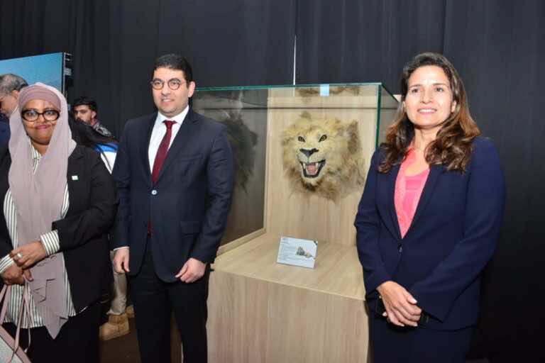 معرض خاص بأسد الأطلس