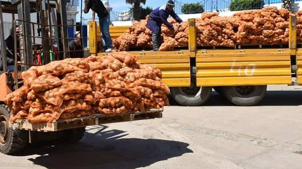 البطاطس