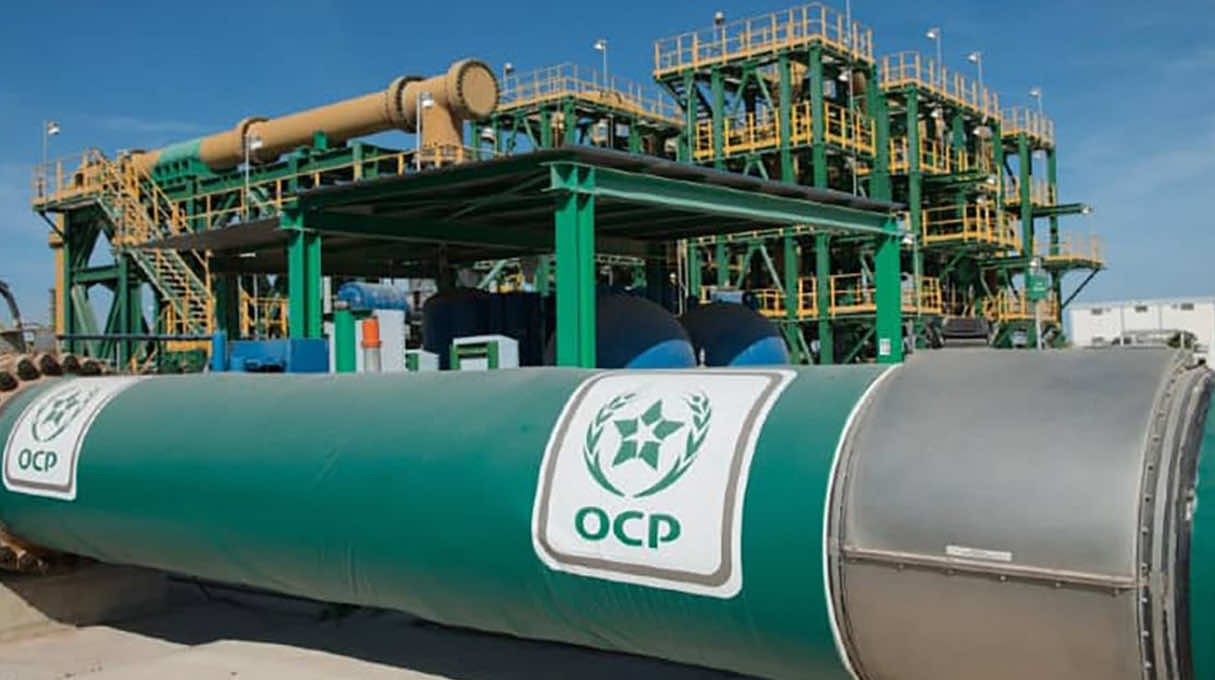 OCP