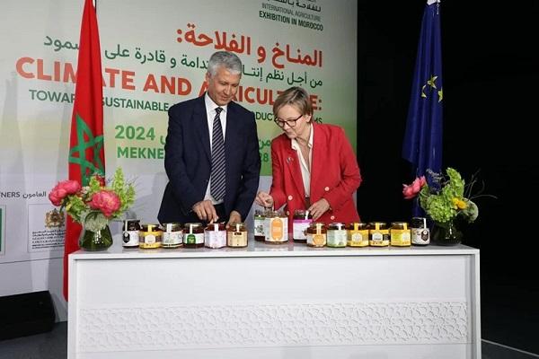 استيراد العسل المغربي
