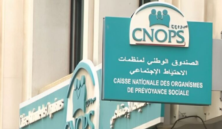 كنوبس