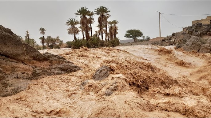 سيول منطقة طاطا