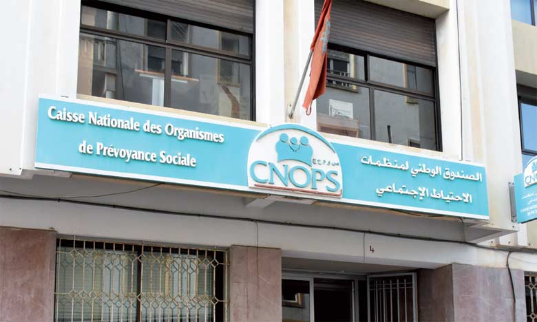 كنوبس