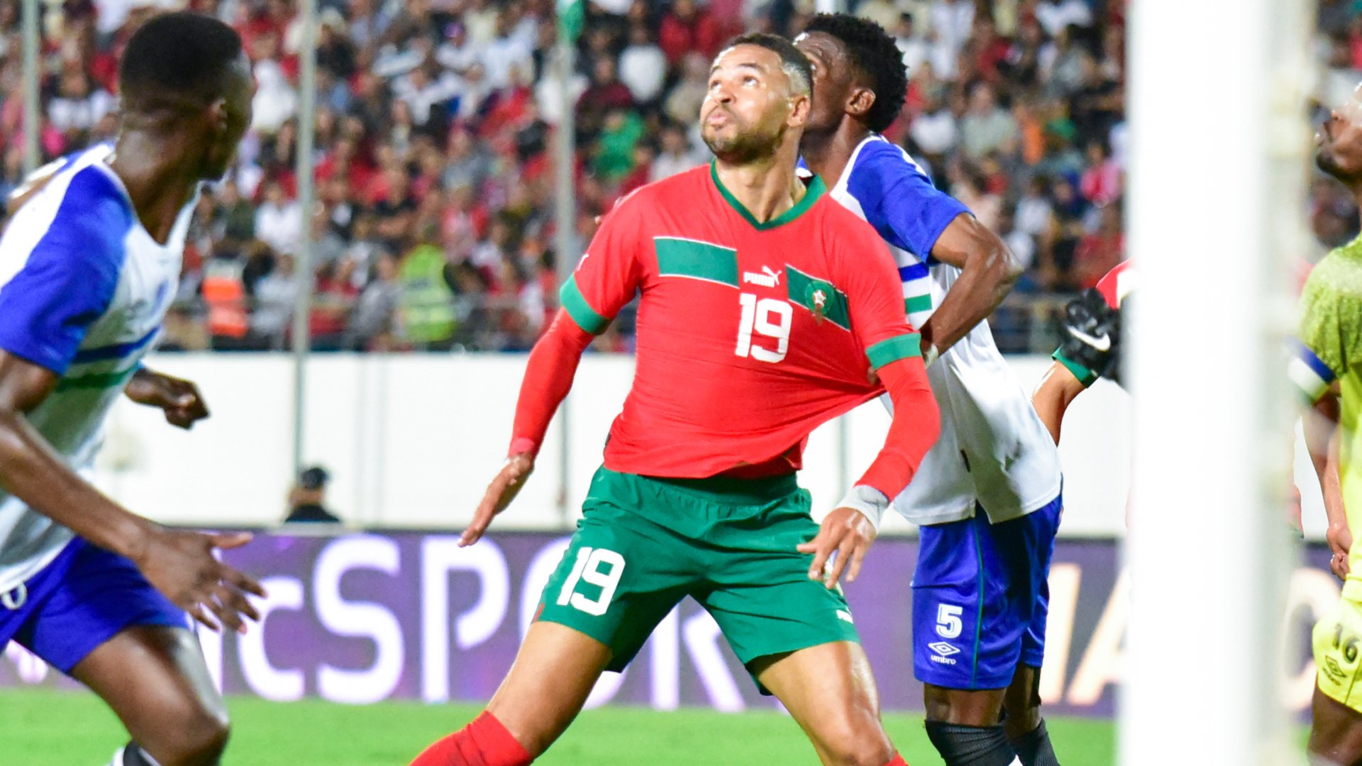 المنتخب الوطني