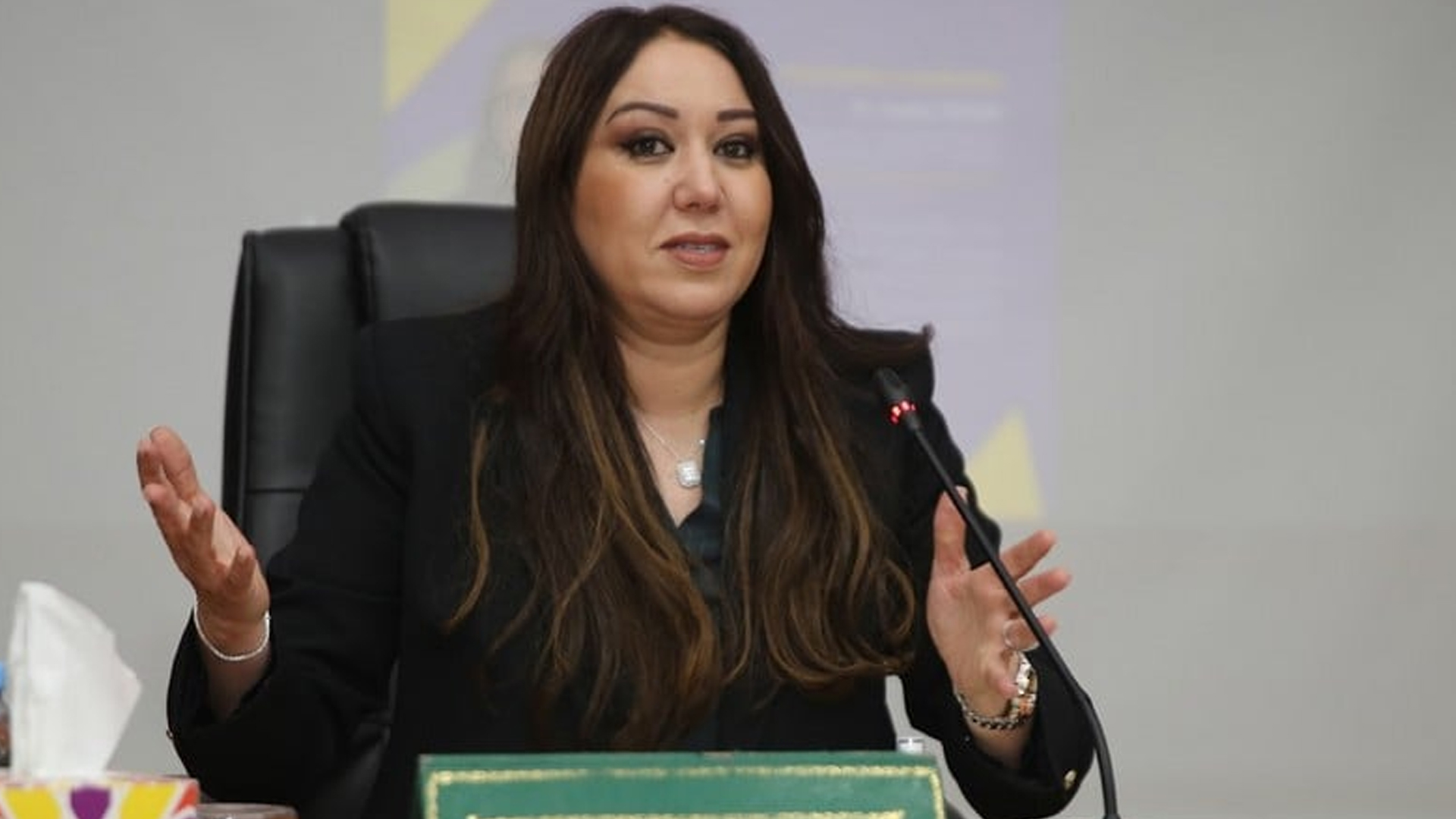 الرميلي