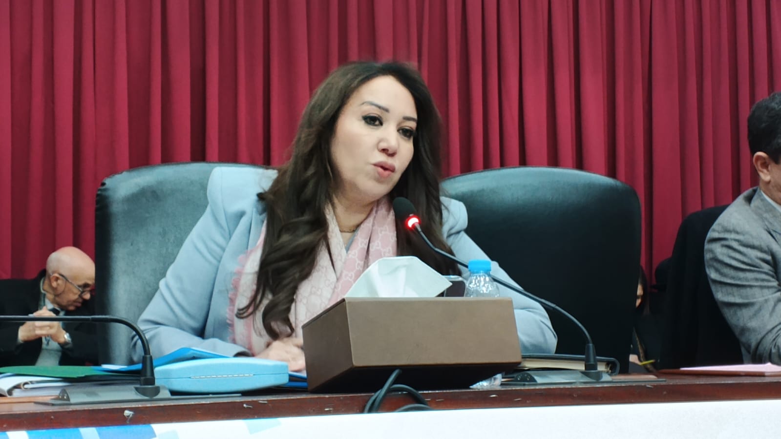 نبيلة الرميلي