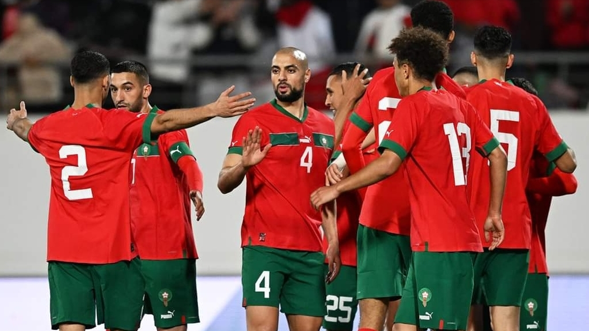 المنتخب الوطني