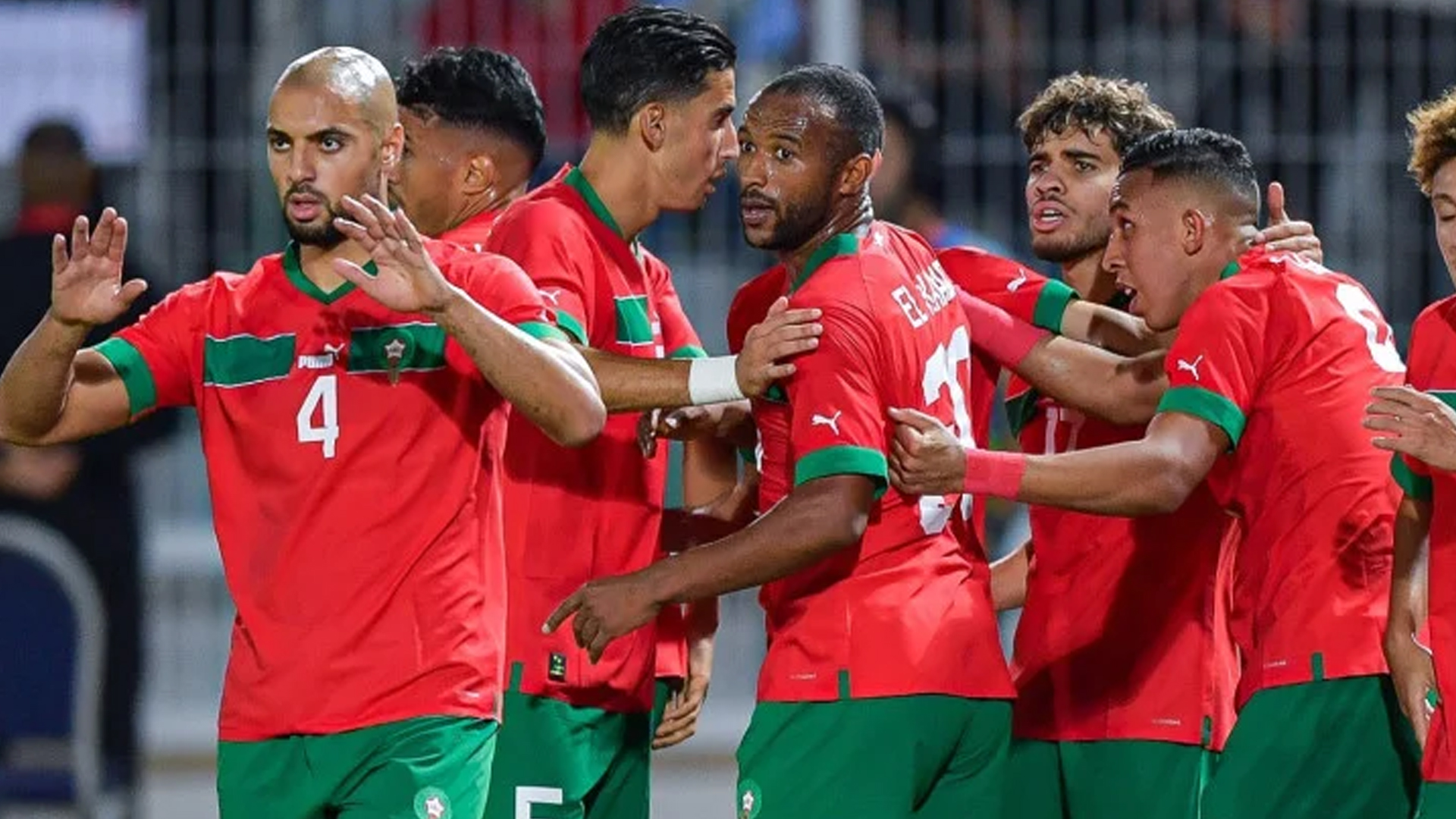 المنتخب الوطني