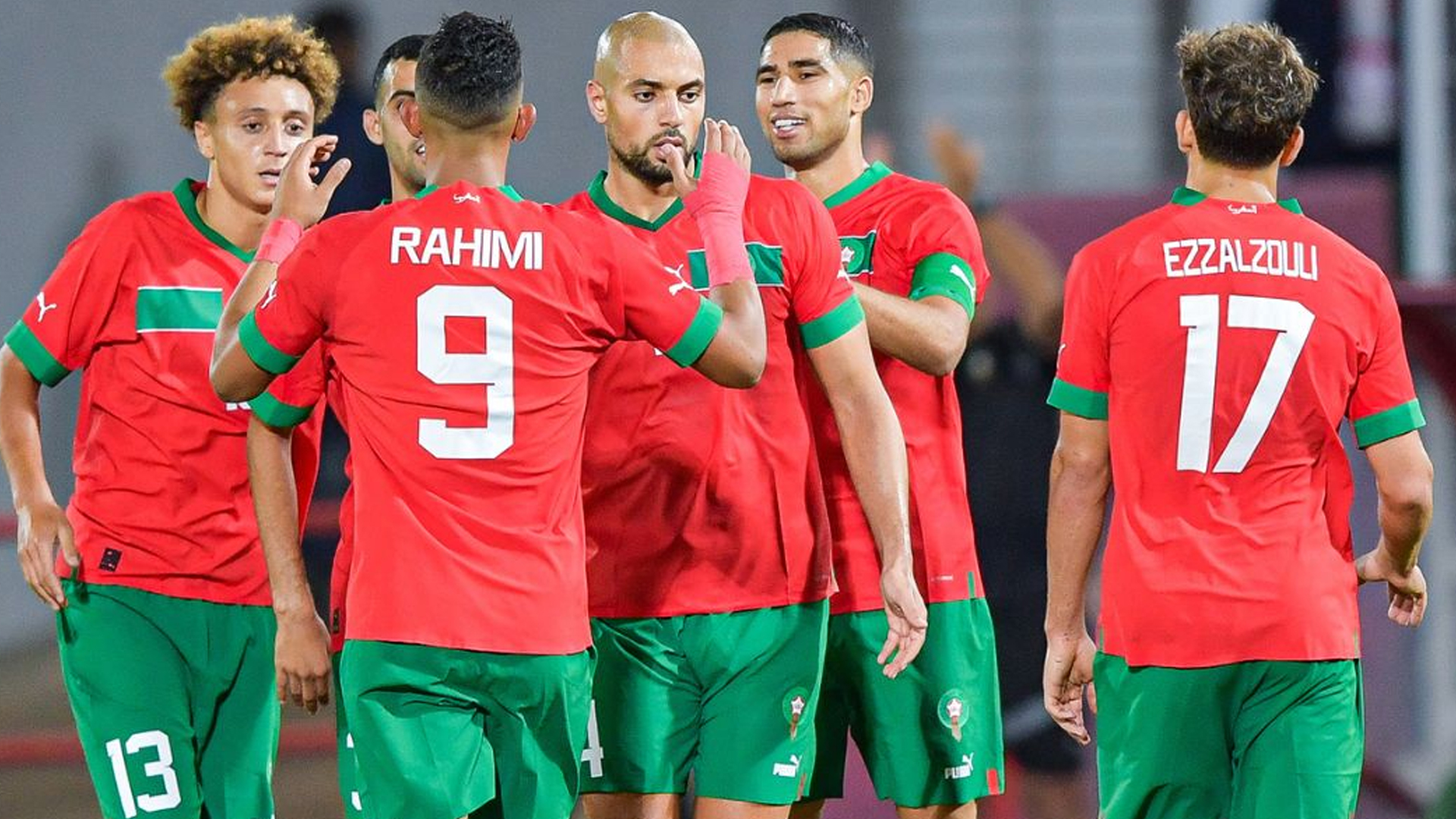 المنتخب الوطني