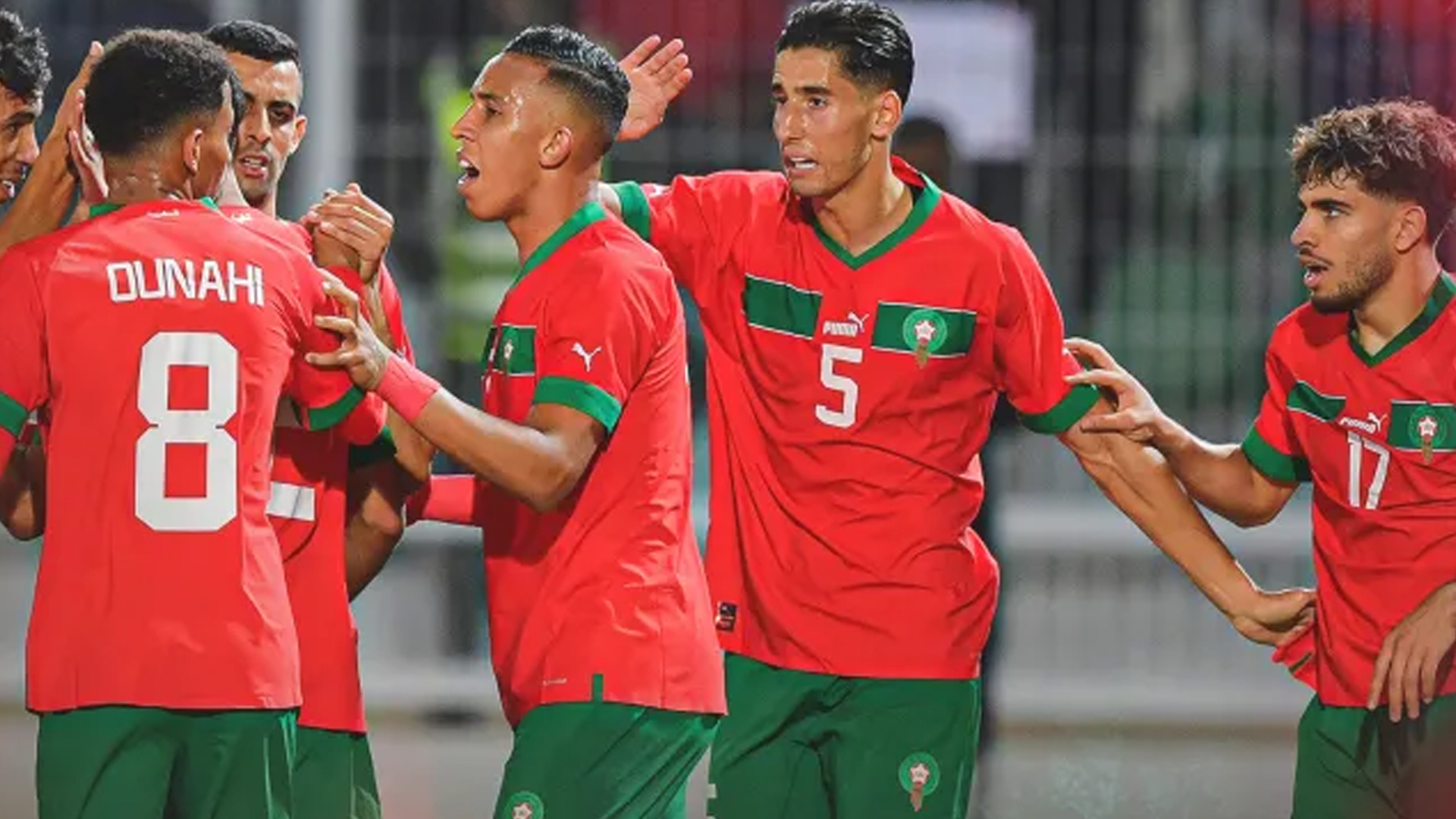 المنتخب الوطني