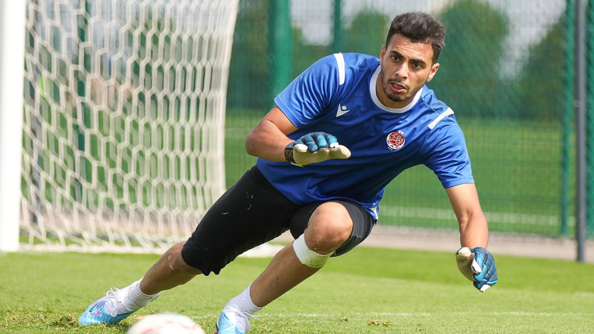 الوداد الرياضي