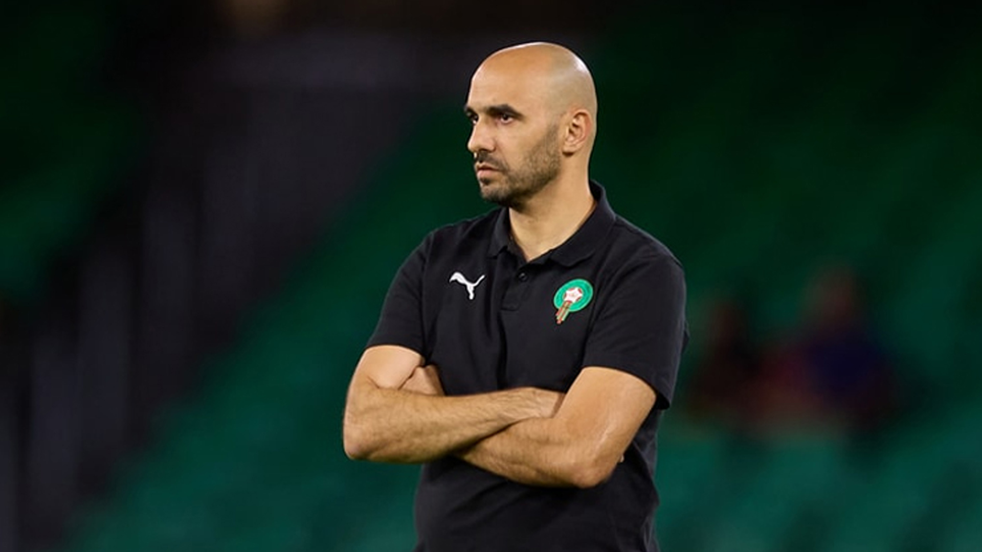 وليد الركراكي