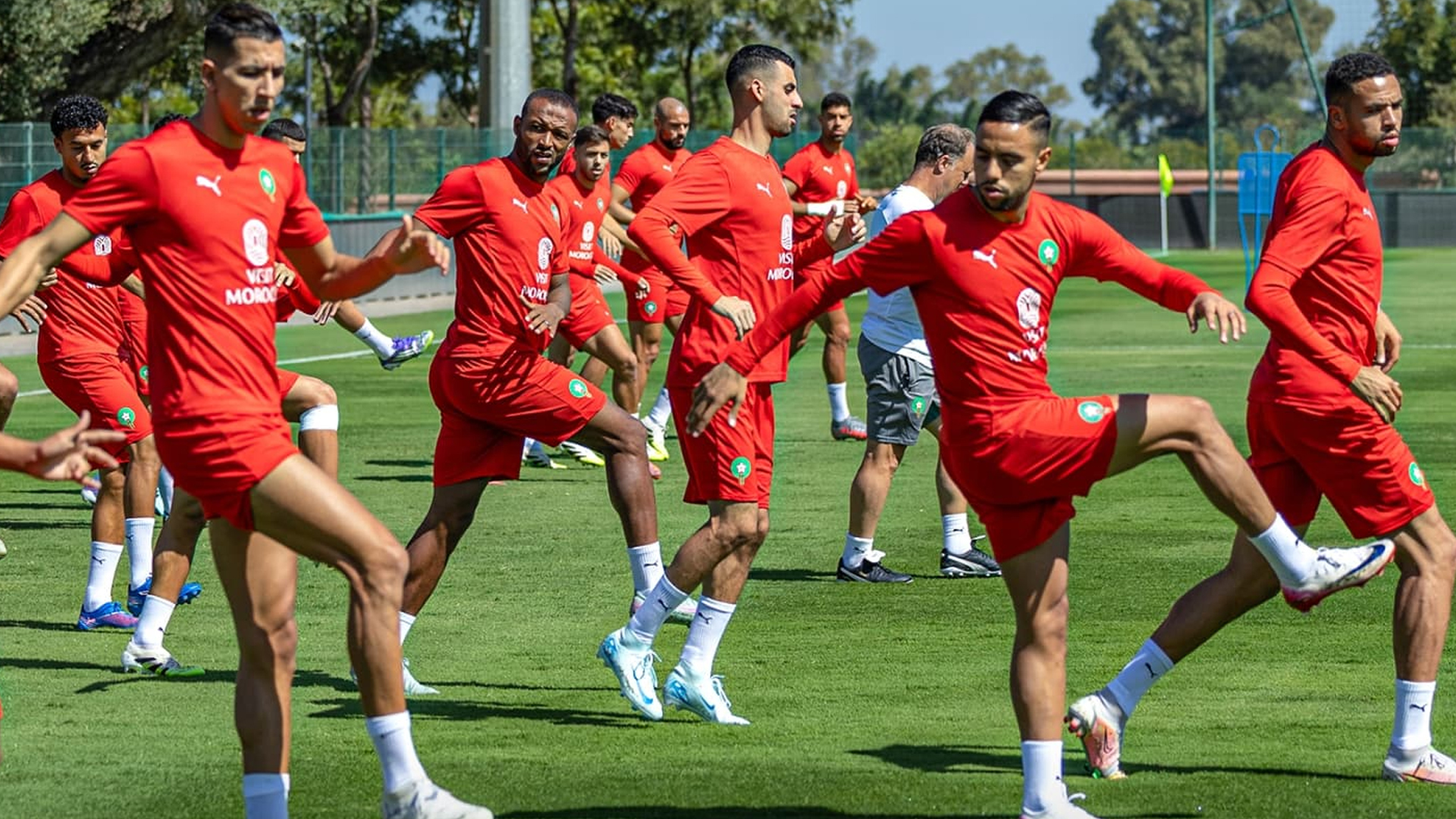 المنتخب الوطني