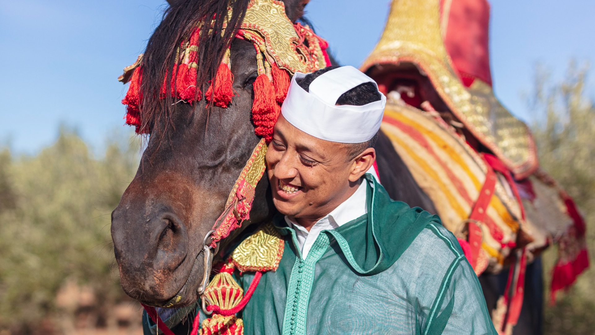 مجلس السياحة