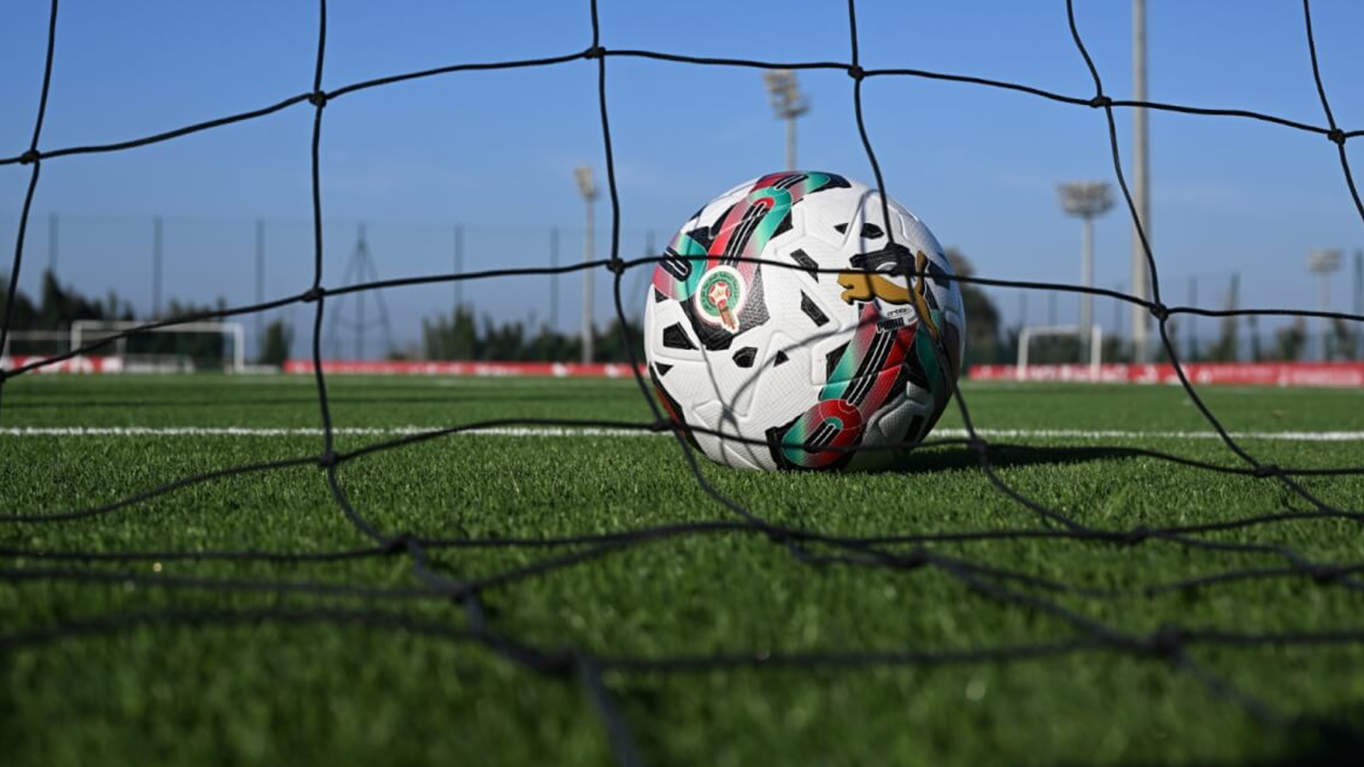 العصبة الوطنية الاحترافية