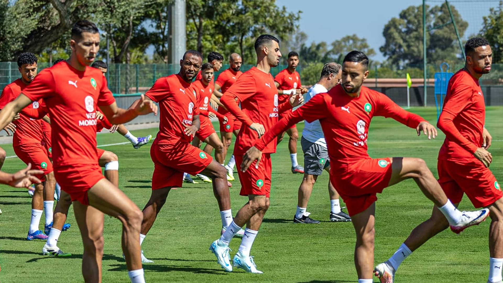 معسكر الأسود