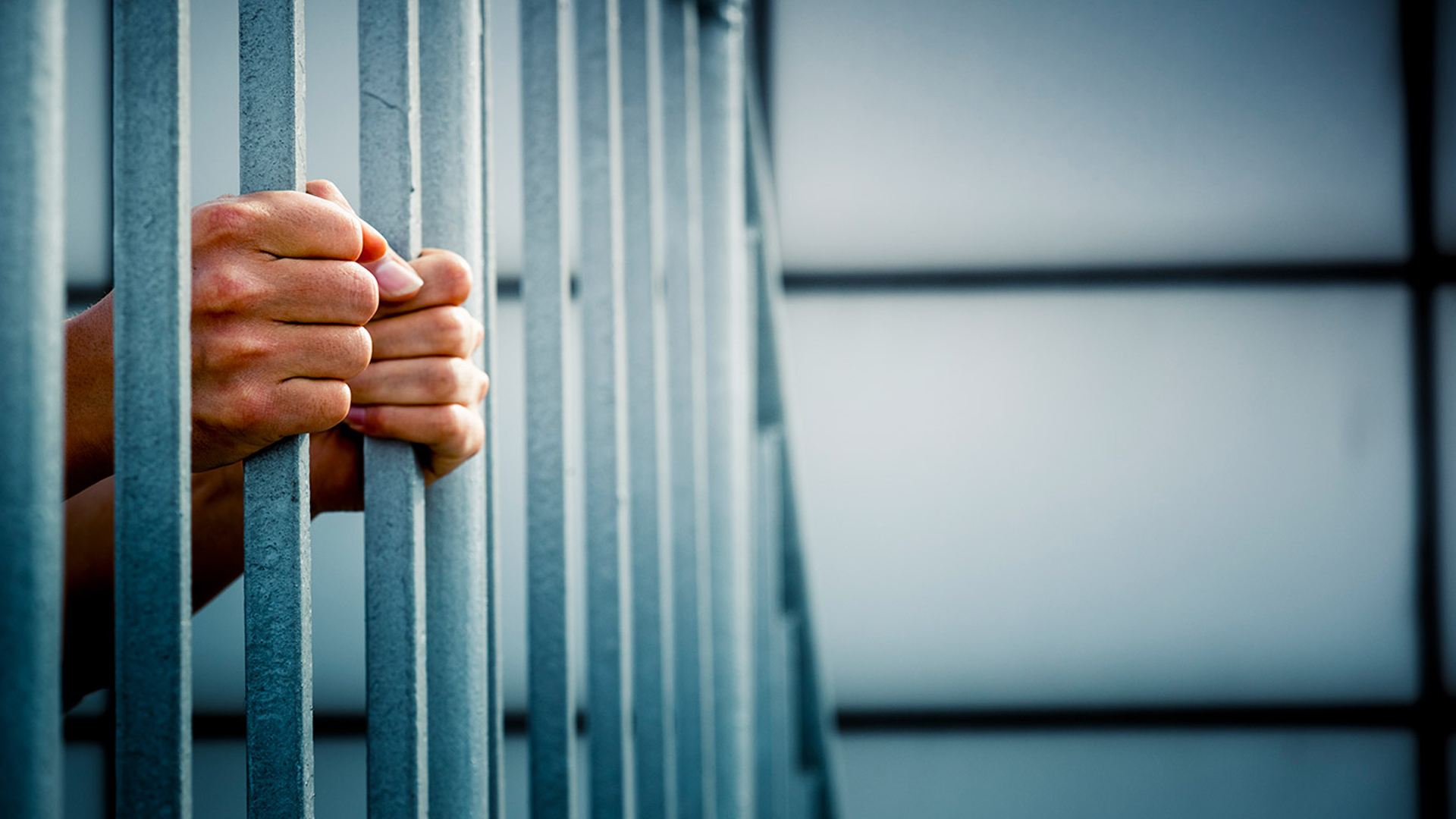 محكمة الاستئناف