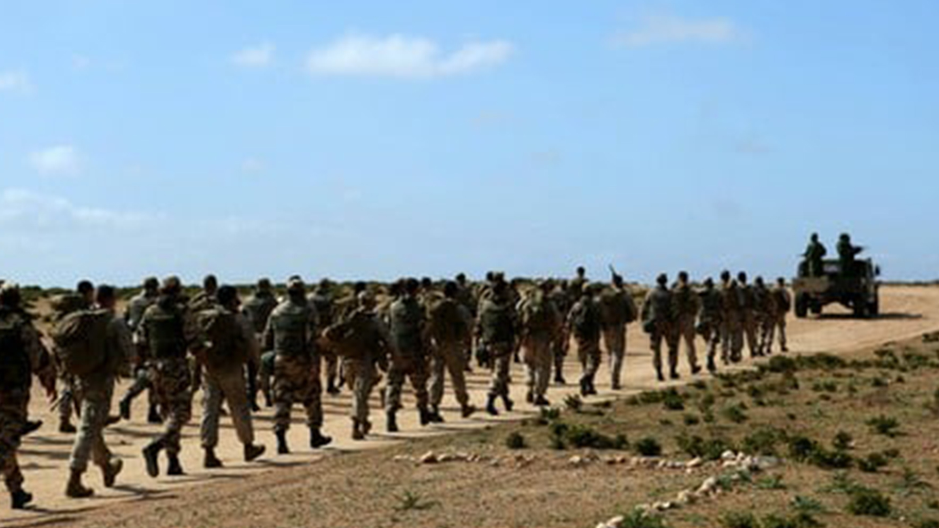 البوليساريو