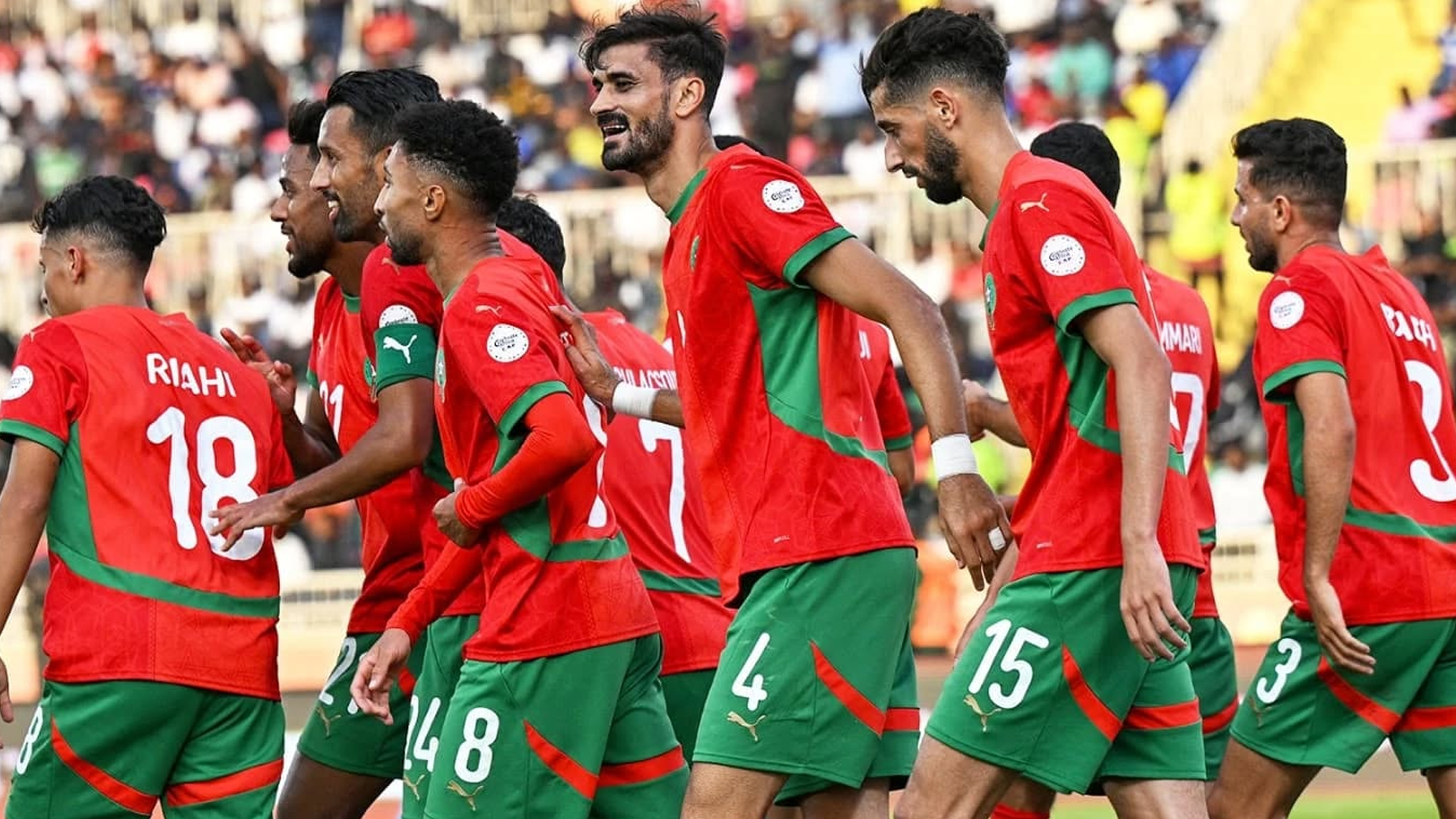 المنتخب الوطني