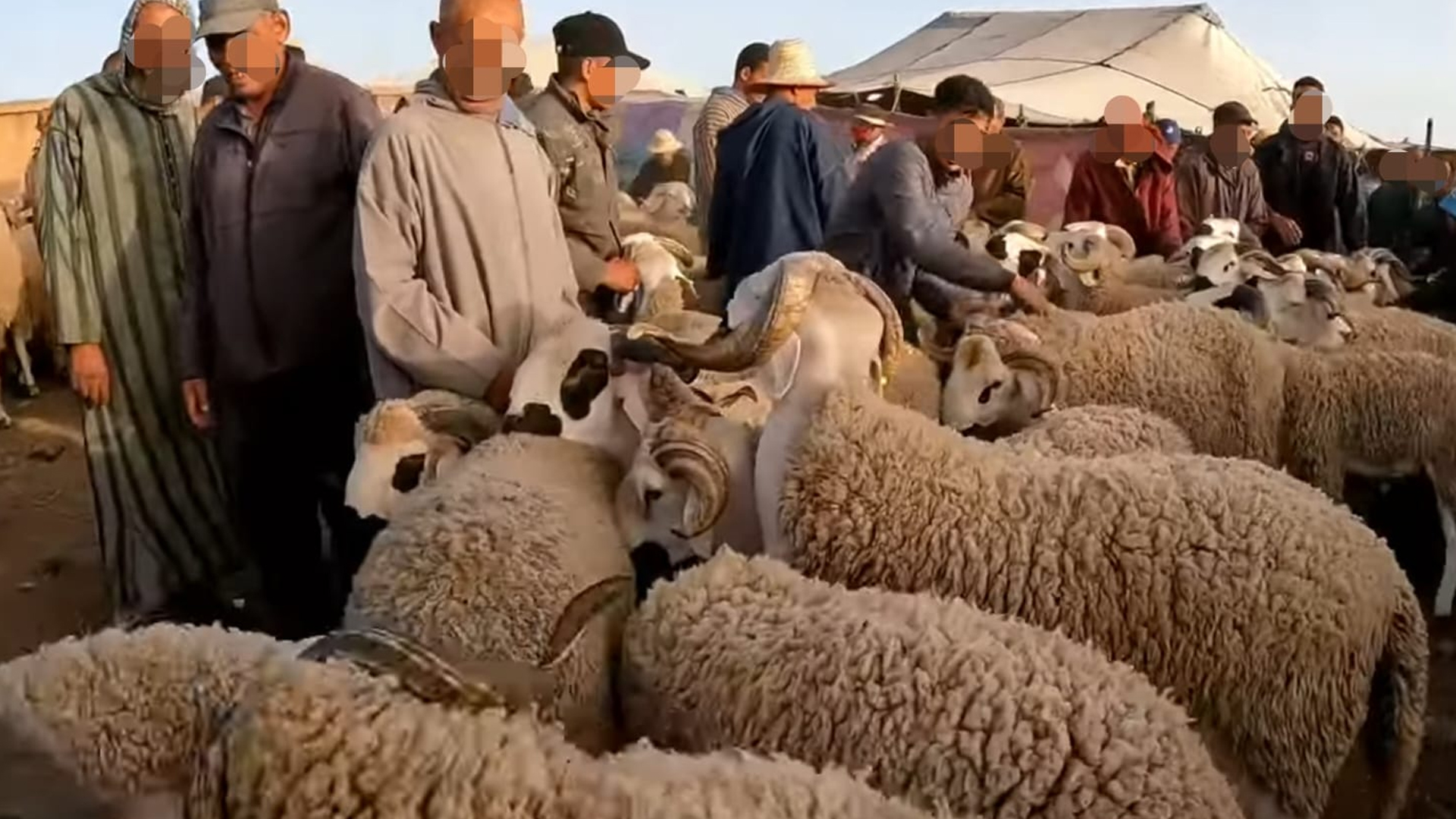 سوق الأغنام