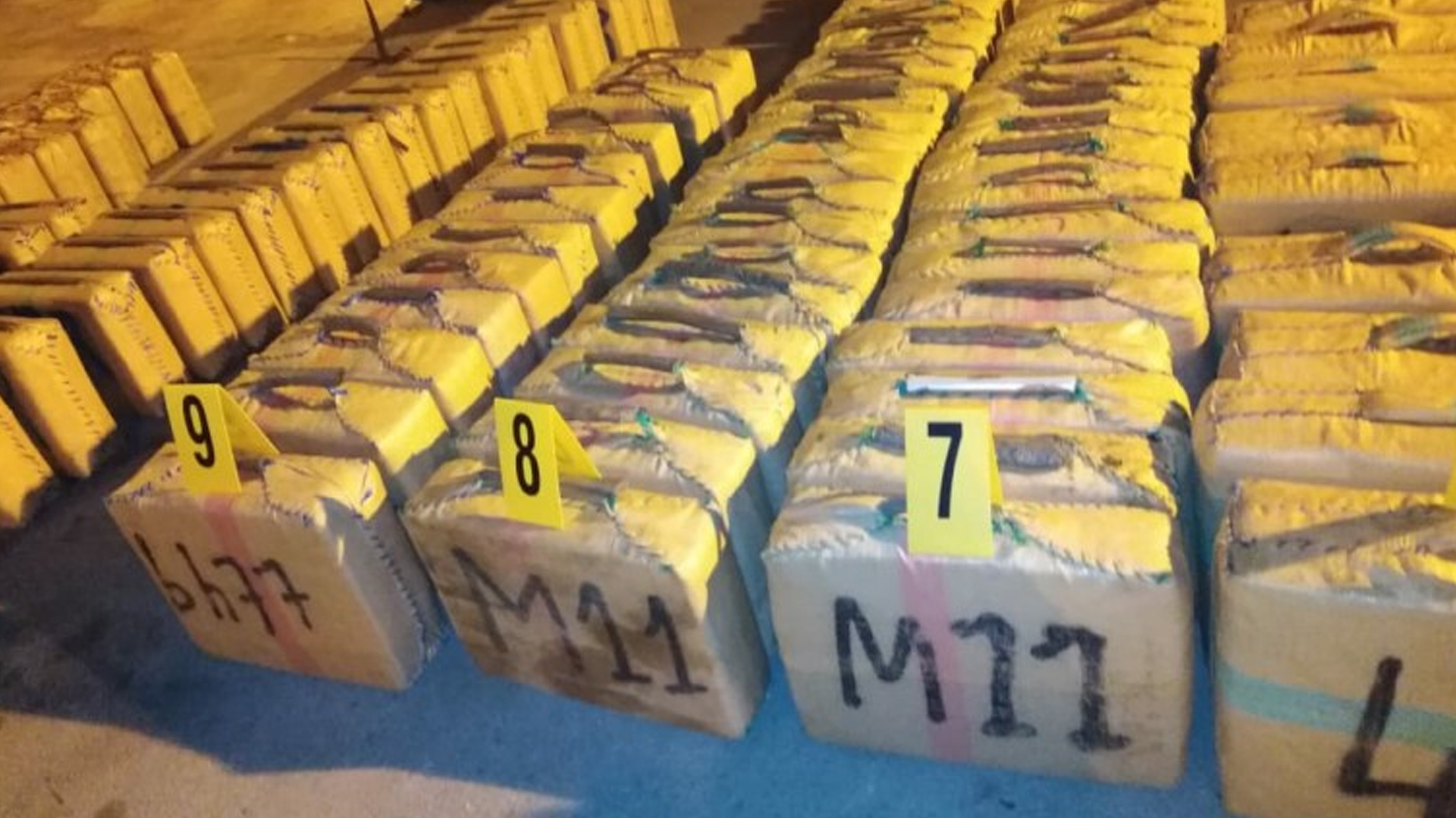 حجز طنين من "الشيرا"