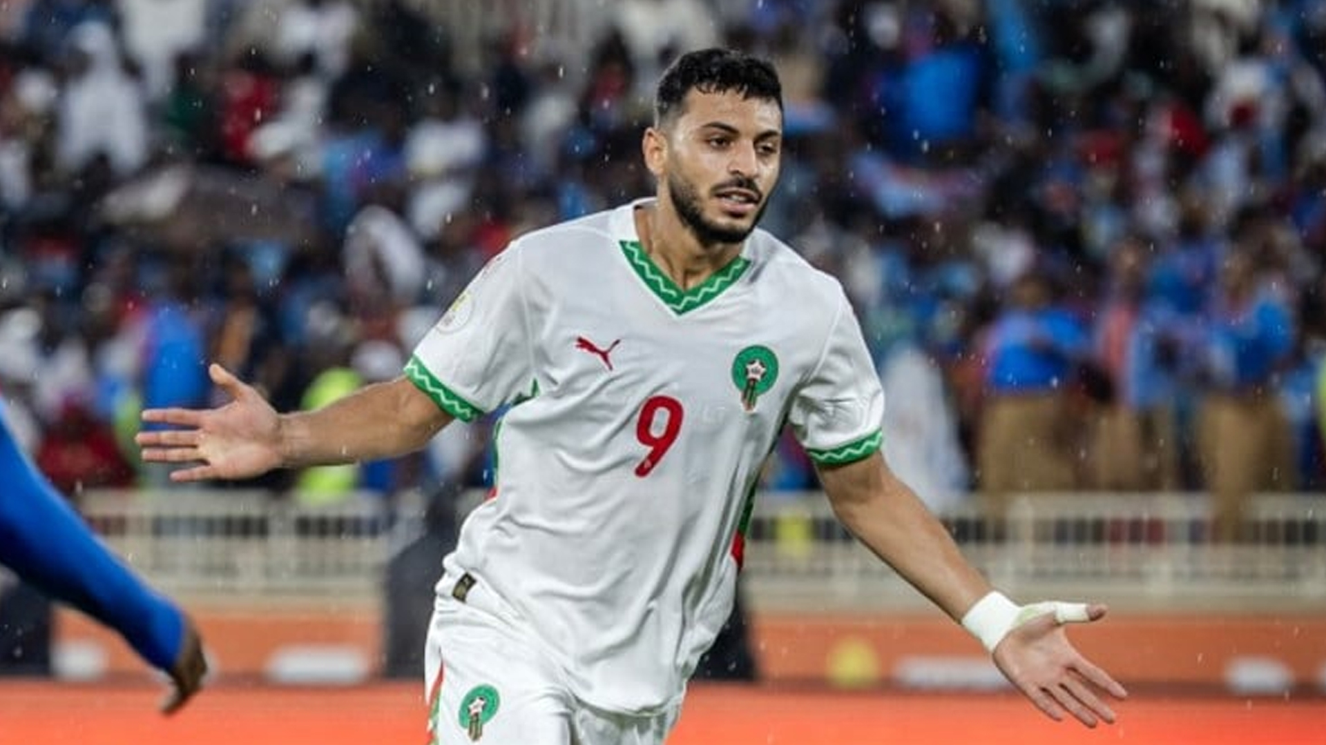 أسامة المليوي