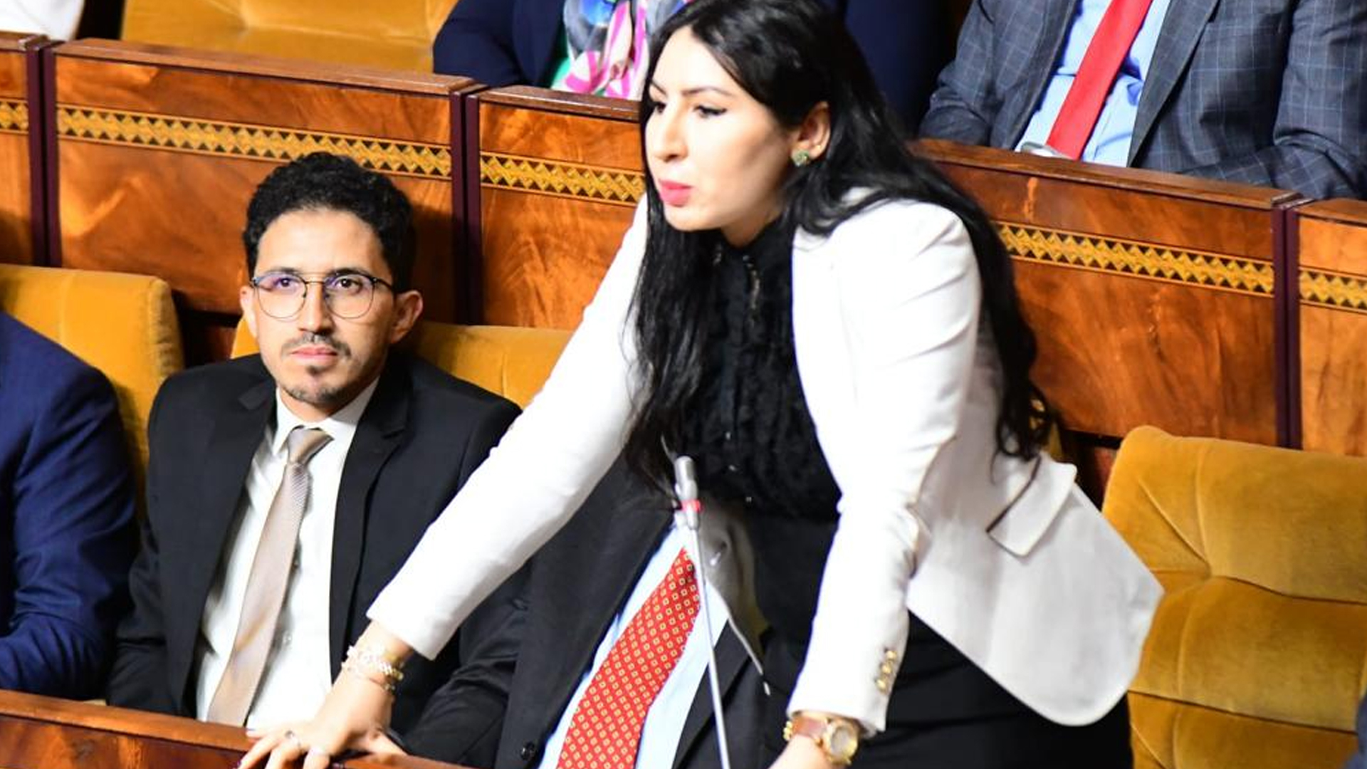 حنان أتركين