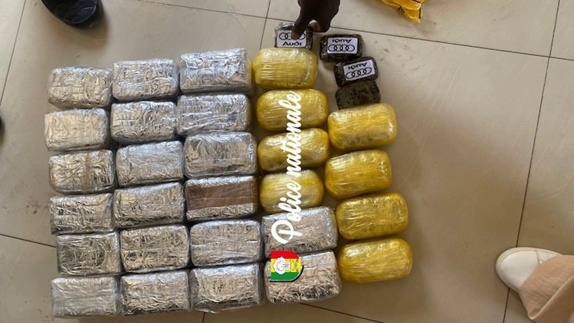 شبكة دولية لتهريب الحشيش