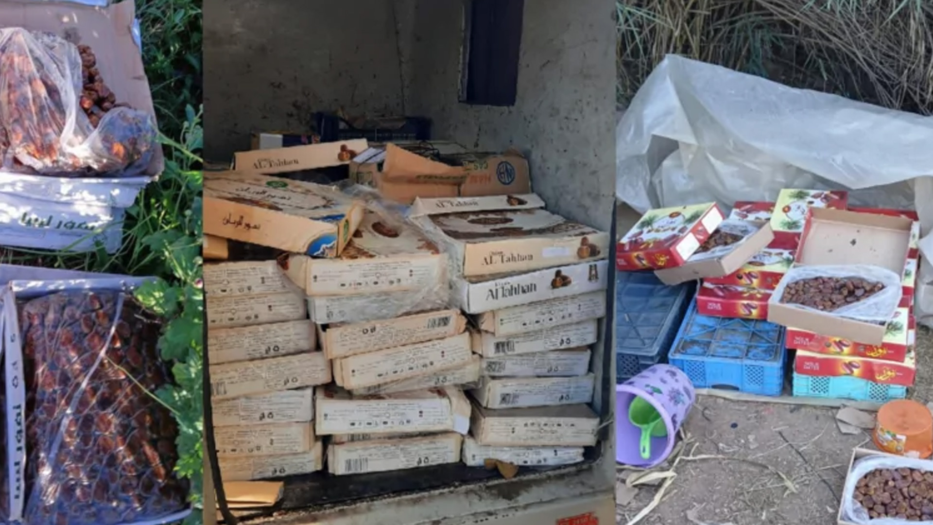 التمور الفاسدة