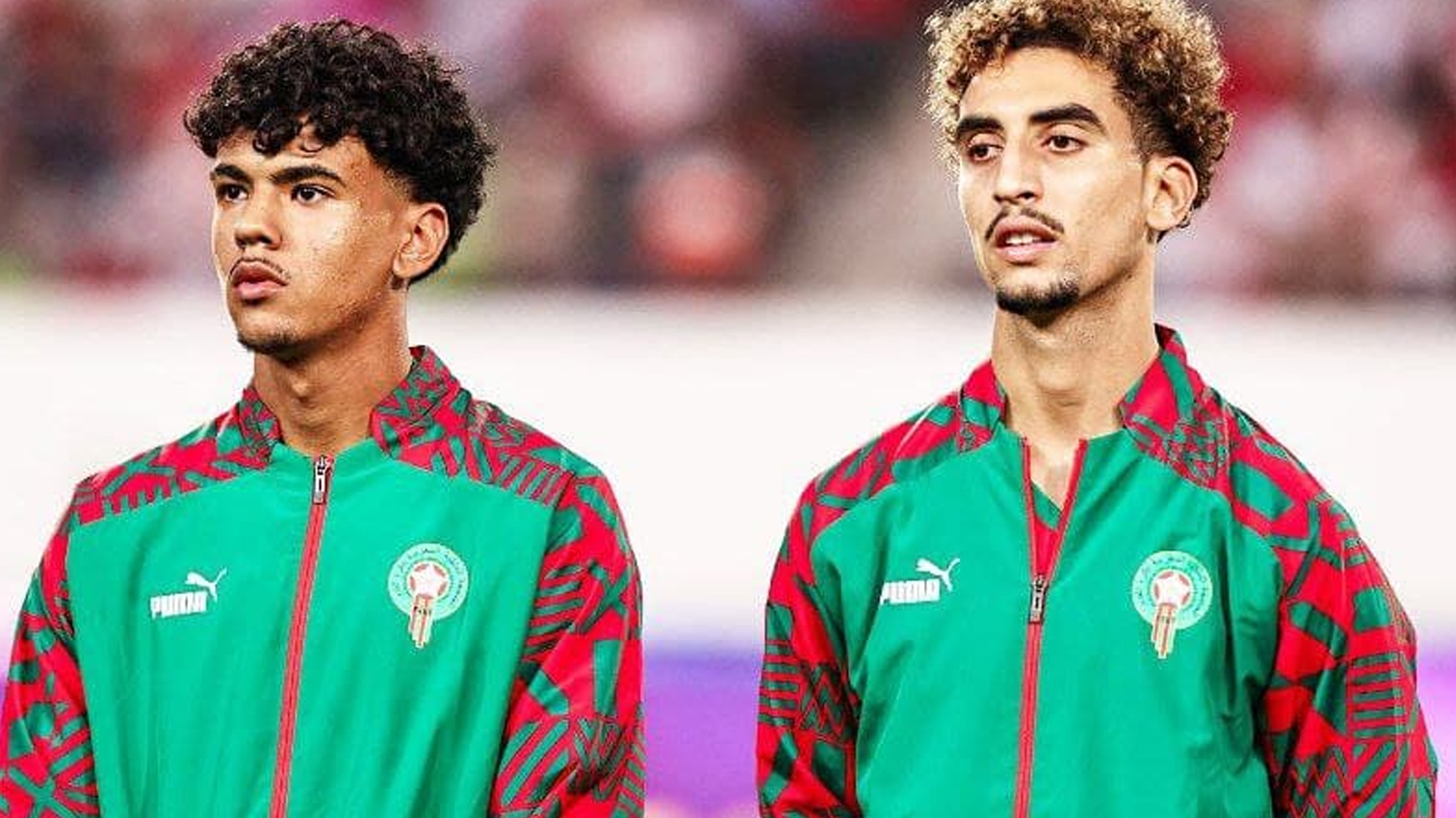 أسامة تيرغالين