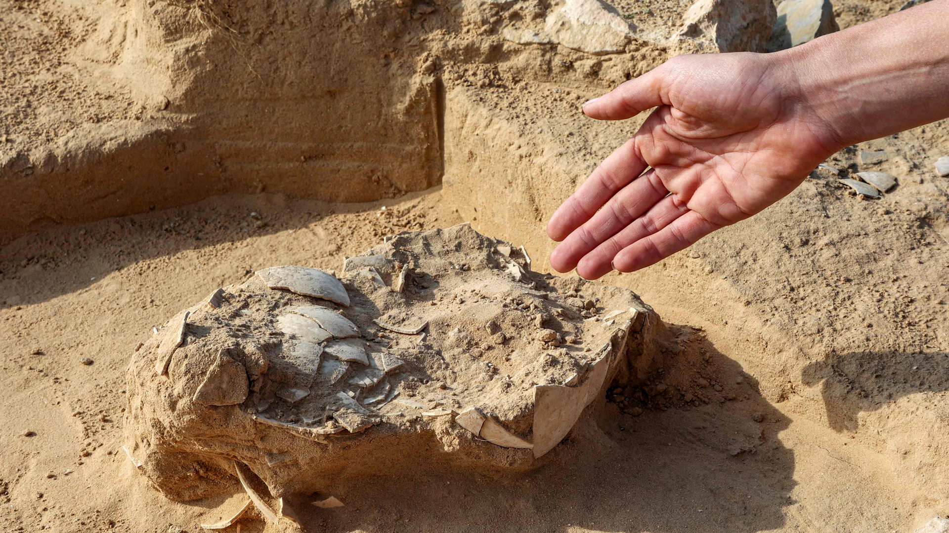 العثور على بقايا حيوانية