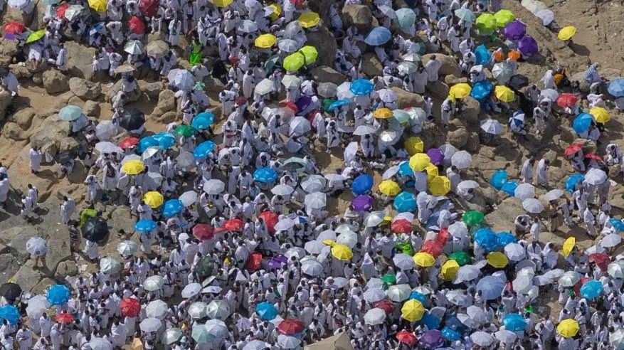 يوم الحج الأكبر جبل الرحمة يرسم ملحمة الدعاء والخشوع وسط منظومة خدمات متكاملة